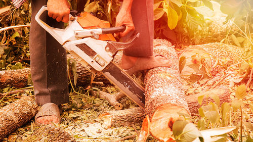 Low section of people working in farm