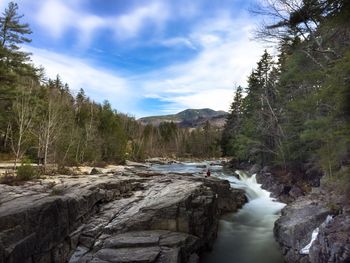 River flowing through forest
