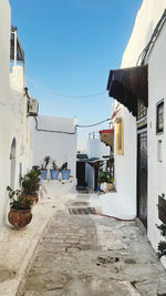 Potted plants on alley amidst buildings against blue sky