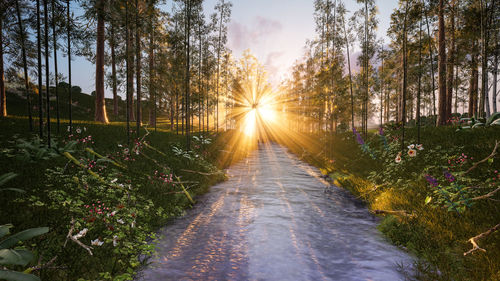 Road amidst trees in forest