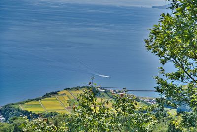 High angle view of trees by sea against sky