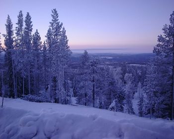 Scenic view of snow covered landscape
