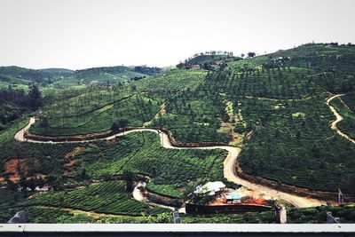 Scenic view of agricultural landscape against sky