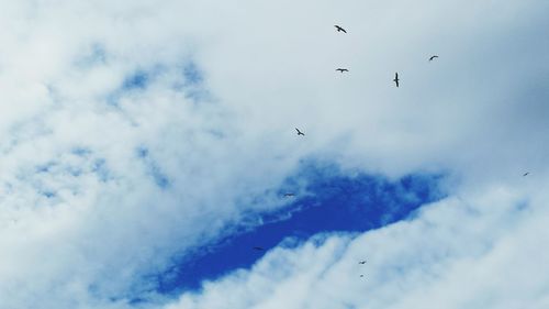 Low angle view of bird flying against cloudy sky