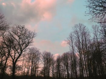 Low angle view of silhouette trees against sky during sunset