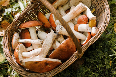 Close-up of mushrooms in basket