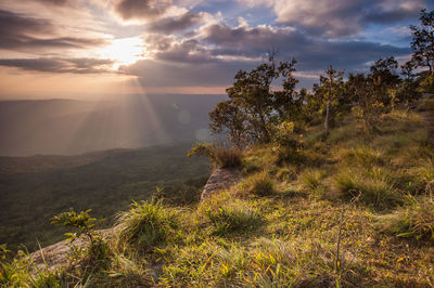 Scenic view of landscape against sky during sunset