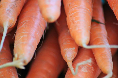 Close-up of fish for sale at market stall