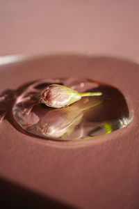 High angle view of dessert on table