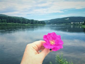 Cropped hand of woman holding pink flower over lake against cloudy sky