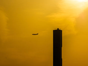 Low angle view of bird flying in sky