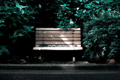 Empty bench in park