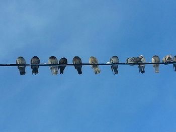 Low angle view of built structure against clear blue sky