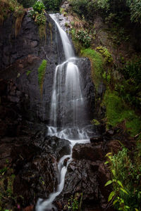 Scenic view of waterfall in forest