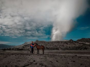 Horse standing in a desert