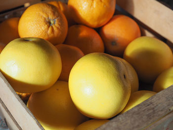 Close-up of lemons