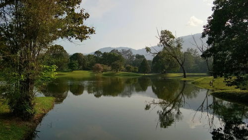 Scenic view of lake by trees against sky