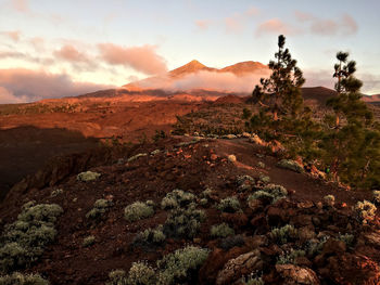 Scenic view of landscape against sky during sunset