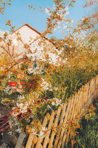 High angle view of trees against sky