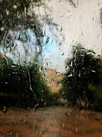 Close-up of raindrops on glass window