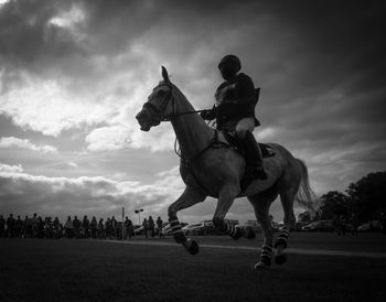 Horses on land against sky