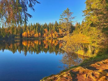 Reflection of trees in lake against clear sky