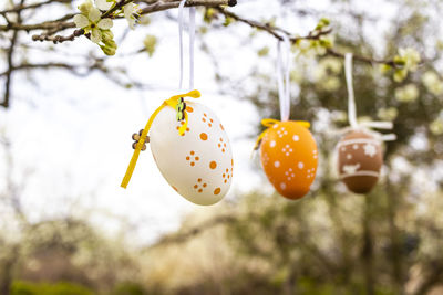 Happy easter. easter decorated eggs. garden tree set up with multicolored easter eggs.