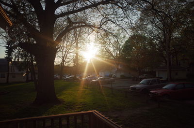 Trees in park against sky during sunset