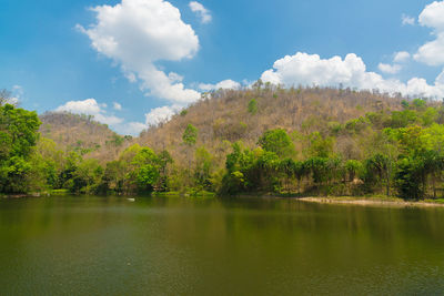 Scenic view of lake by trees against sky