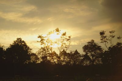 Silhouette trees against sky during sunset