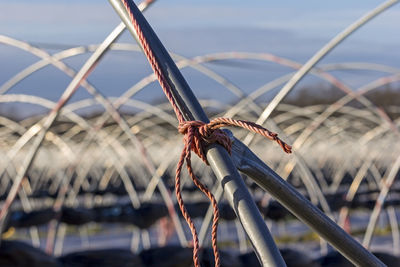 Close-up of ropes tied on metal fence