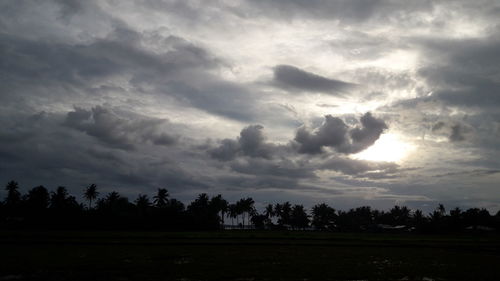 Silhouette trees on field against storm clouds