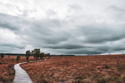 Moorland landscape of the high fens in autumn, belgium.