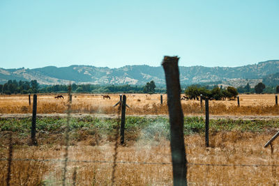 Fence on field by mountains against sky