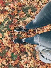 Low section of person standing on autumn leaves