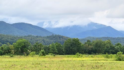 Scenic view of field against sky