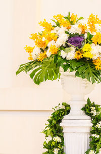 Close-up of white flower vase on plant