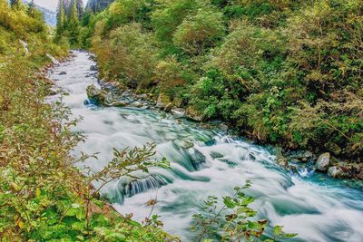 Scenic view of waterfall in forest