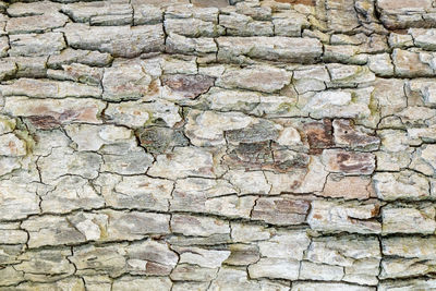 Full frame shot of brick wall