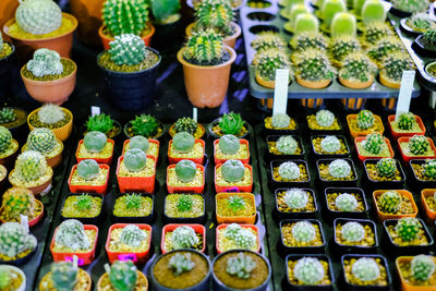 High angle view of vegetables for sale in market