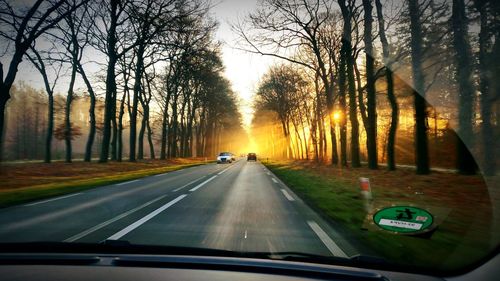 Road passing through forest