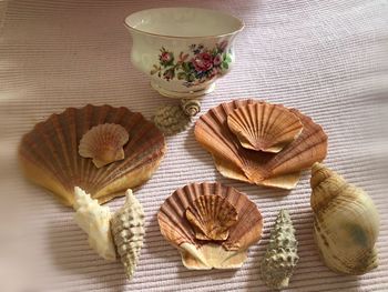 High angle view of seashells on table