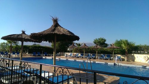 Palm trees against clear blue sky