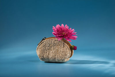 Cropped hand of woman holding flower