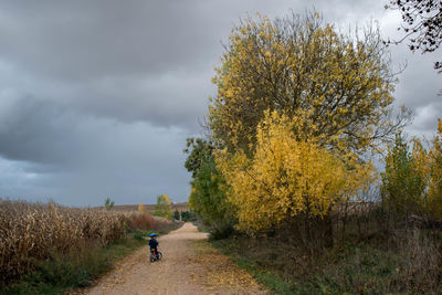 Chil cycling  on the  road against sky during autumn