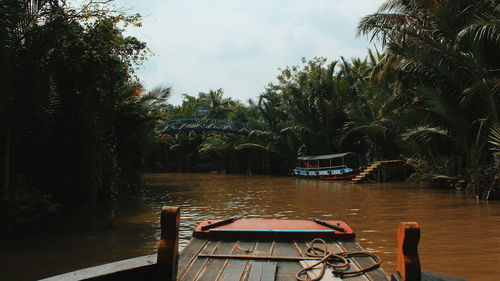 Scenic view of palm trees by lake against sky