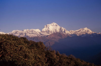 Scenic view of snowcapped mountains against clear blue sky