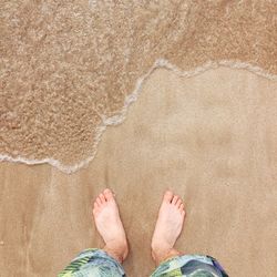 Low section of woman on beach