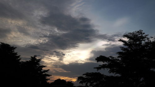 Low angle view of silhouette trees against sky at sunset