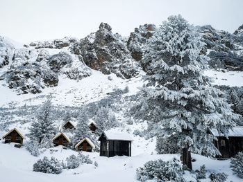 Snow covered trees and houses against sky